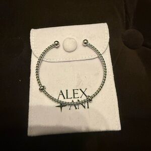 Alex and Ani Silver Chain Bracelet